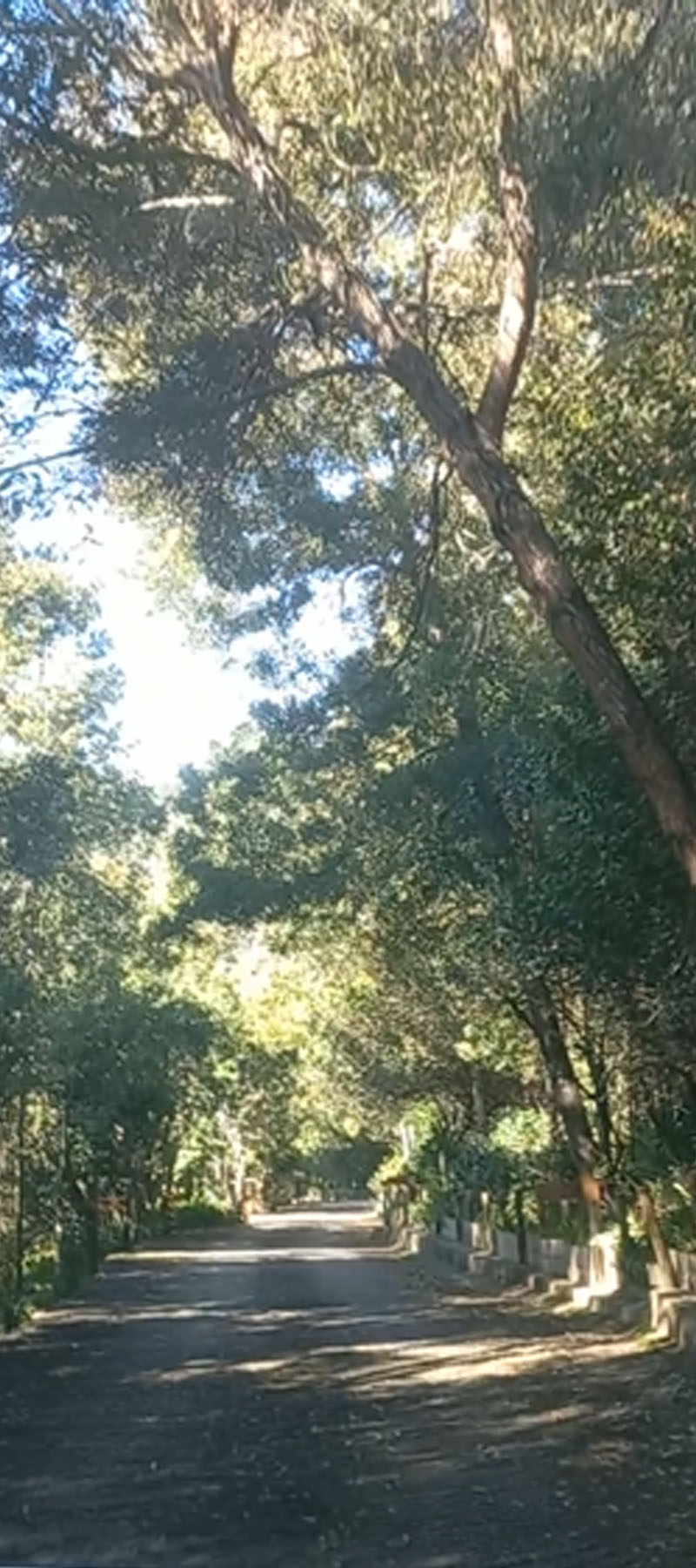 10 Bedroom Property for Sale in Hoekwil Western Cape